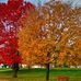 Jared Speer - Facebook