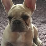 Jared Spriggs - Facebook