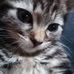 Jared Stanton - Facebook