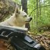 Jared Staudigl - Facebook