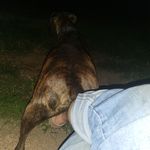 Jared Steele - @jaredsteeletexas - Instagram