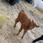 Jared Stephan - @jaredstephan2021 - Instagram