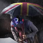 Jared Stephen - @jaredstephen78 - Instagram