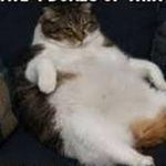 Jared stern - @catfamdoodbro712 - Instagram