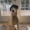 Jared St. John - @jaredst.john - TikTok