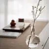 Beauty tea - @jarredstolz797 - TikTok