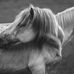 Jared Streich - Facebook