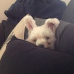 Jared Stuart - @jaredstuart82 - Instagram