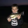 Jared Sturgill - @jared.sturgill1 - TikTok