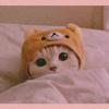jaredsuarez0904 - @jgod0904 - TikTok