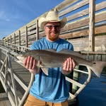 Jared Sumner - @jared_sumner - Instagram