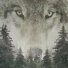 Jared Temple - @jaredtemple - TikTok