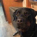Jared Theodore - @jared_theodore - Instagram