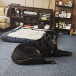 Jared Thetford - @boreddudecool - Instagram