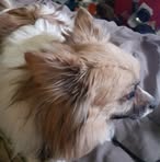 Jared Thornton - Facebook