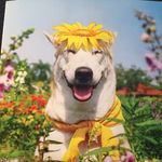 Jared Thornton - @jared_thornton8 - Instagram