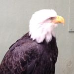 Jared Townsend - @jared6184 - Instagram