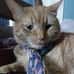 Jared Townsend - Facebook