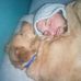 Jared Vickers - Facebook