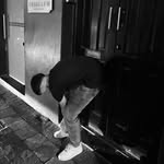 🎲 - @jared_viret - Instagram