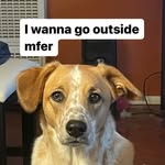 Jared Vogel - @jdog4sho - Instagram