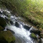 Jared Vogel - @vogel.jared - Instagram