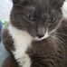 Jared Vogel - Facebook