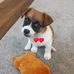 Jarod Vogel - Facebook