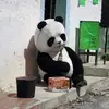 jared.wallace4 - @jared.wallace4 - TikTok