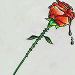 Jared - @jared.way.love - Instagram
