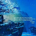 jared_van_eeden - @jared_van_eeden - Instagram