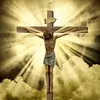 ✝️Jared Weirich✝️ - @jared.weir1 - TikTok