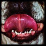 Jared Westfall - @jwest617 - Instagram