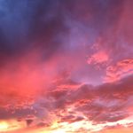 Jared Wilkerson - @jared_waynee - Instagram