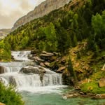 Jared Wilkerson IB - @jaredwilkersonib8920 - Instagram