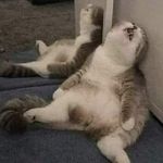 Jared Wolf - @jared42885 - Instagram