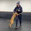 Jared Wolf - @jwolf83 - TikTok