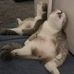 Jared Wolf - Facebook