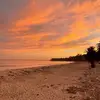 Jared Wolff - @jared.wolff - TikTok