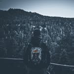 Jared Wolfe - @jared.wolfee - Instagram