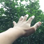 Jared Wolfe - @tmwolfe9972018 - Instagram