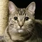 Jared wright - @jared_wright_57 - Instagram