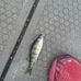 Jarod Anderson - Facebook