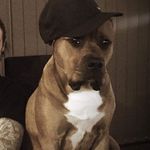 Jarod Ball - @jarodball18 - Instagram