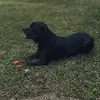 Jared Dunn - @jdunn.69 - TikTok