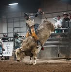 Jared Nicholas Fleck - Facebook