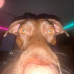 Jared Graves - Facebook