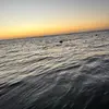 Jarrod Lamb - @jarrod.lamb5 - TikTok