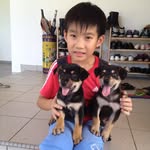 Jarod Leong - @leongjarod - Instagram