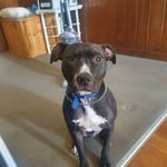 Jarrod Lowe - @jarrod.lowe.735 - Instagram